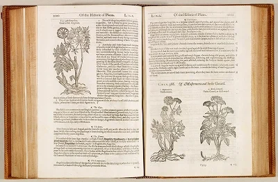 The herball, or, Generall historie of plante（ジェラートの本草書）