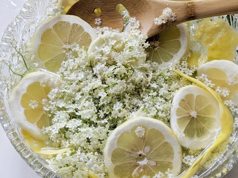 KENT DELI Elderflower