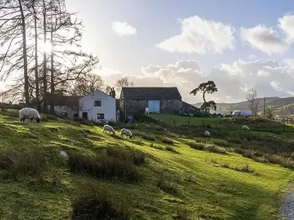 【大人気のイギリス旅行】ピーターラビットの舞台-英国湖水地方
