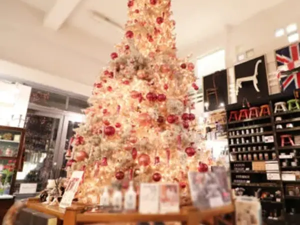 【特別なクリスマス】ドイツ ローテンブルクからやって来た最後のクリスマスツリー