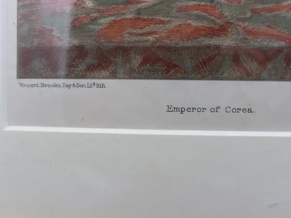 ヴァニティフェア 5