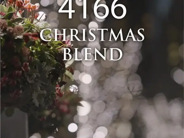 紅茶 4166クリスマスブレンド 1