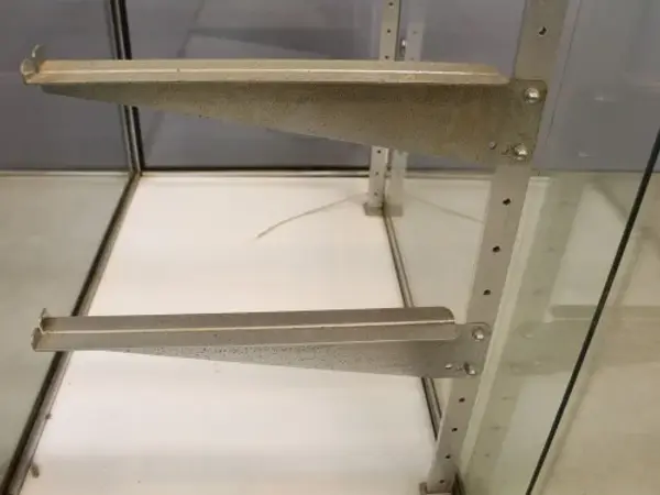 ショーケース 6