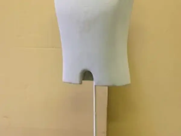 トルソー