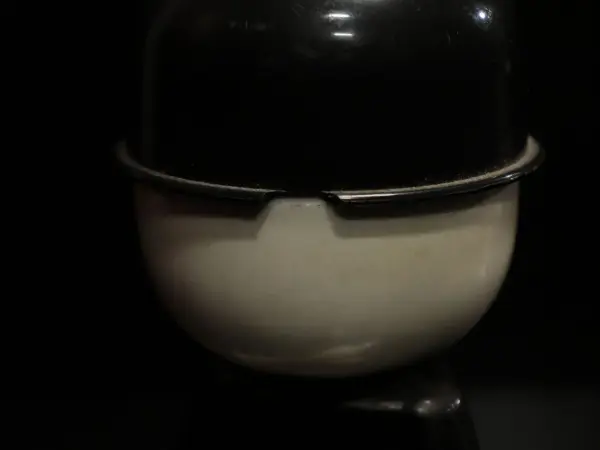 フレッド 6
