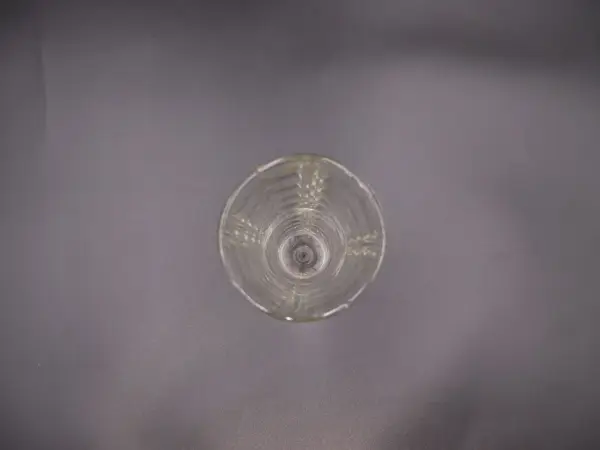フラワーベース 6