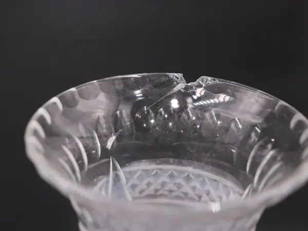フラワーベース 6